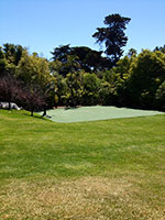 First Serve Tennis Courts Turf